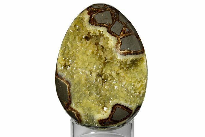 Calcite Crystal Filled Septarian Geode Egg - Utah #176038